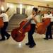 Bassists from Forsythe and Ann Arbor Open Middle Schools make their way into the University of Michigan's Hill Auditorium for Orchestra Night for Ann Arbor Public Schools in 2010.
Lon Horwedel | AnnArbor.com